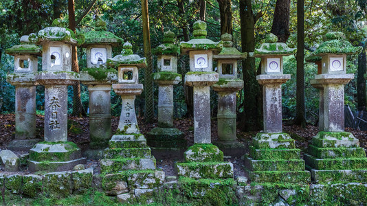 在春日寺在古都奈良的石灯笼