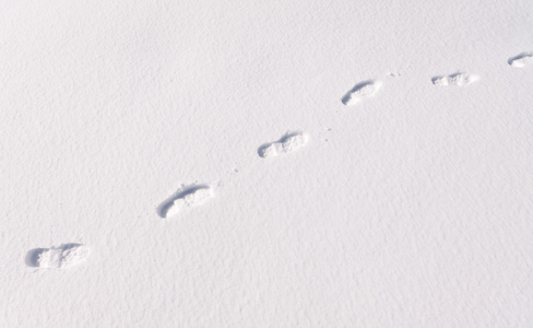 脚步步道在冬天雪在阳光灿烂的日子