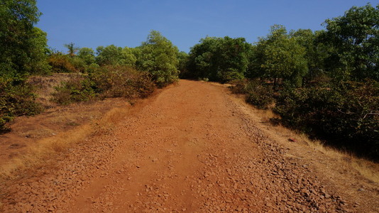 这条路