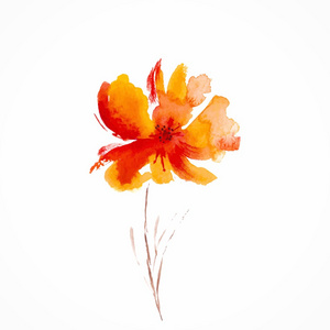 橙色的花。 水彩花卉插图。 花卉装饰