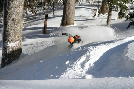 单板滑雪 freerider