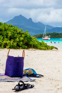 沙滩袋和拖鞋，带有热带的景观