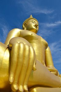 佛的大雕像形象