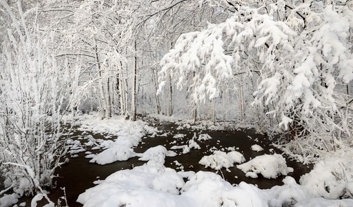 美丽的冬天湖景观在拉脱维亚