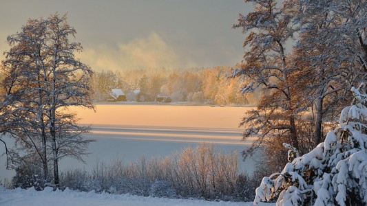 美丽的冰冻的冬湖景观在拉脱维亚