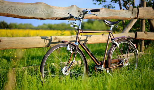花场的栅栏附近的旧复古棕色自行车