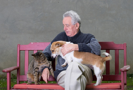 老人与猫和狗