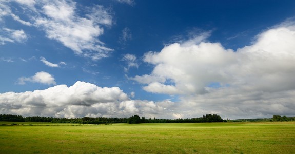 绿色领域反对蓝蓝的天空和云