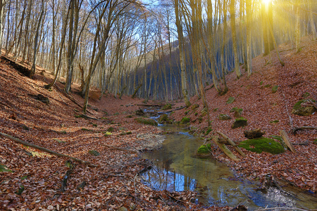 秋天的山林秋天的场景,在山林照片