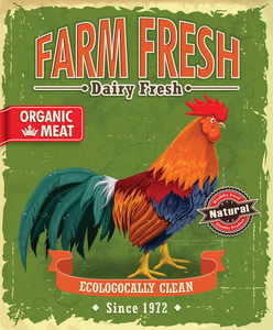 老式农场新鲜的鸡肉海报设计图片