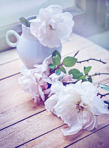花瓶里的白玫瑰