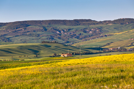 室外托斯卡纳 val d orcia 绿色和黄色山