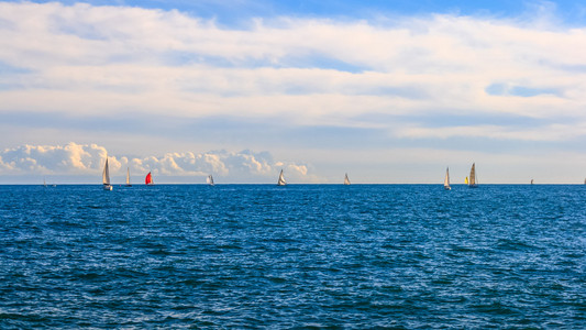 帆船大赛和海景图片