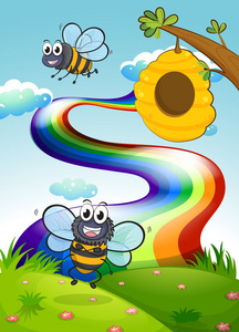 一个山顶上，蜜蜂和蜂巢附近的彩虹