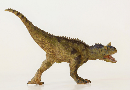 必要闪烁其肉图片