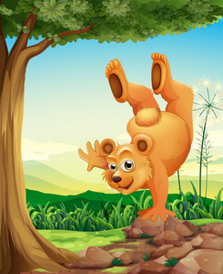 一只熊，做双手倒立在树附近