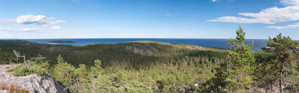 夏天风景