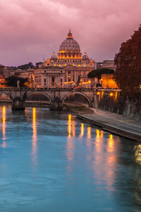 梵蒂冈和河在罗马的台伯河