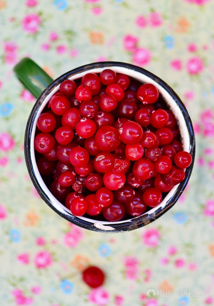 新鲜成熟的蔓越莓