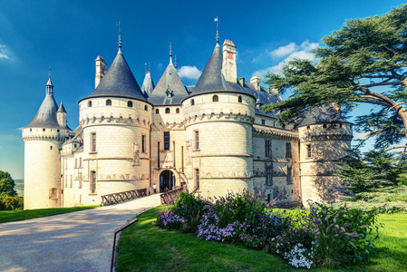 城堡德肖卢瓦尔河畔法国