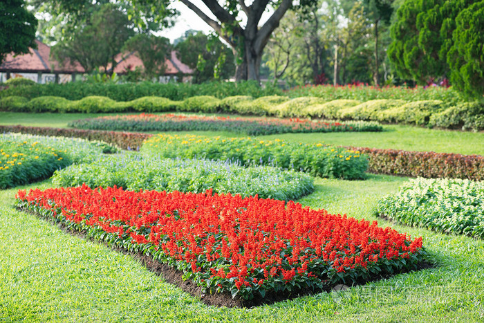 公园色彩缤纷的花圃
