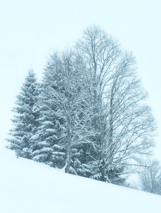 冬山雾降雪风景