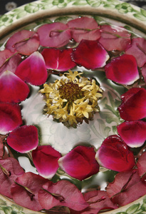 玫瑰花瓣放在装满水的盆里
