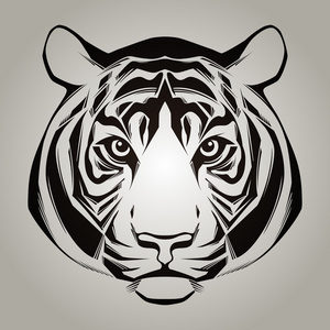 虎头.矢量图照片