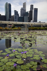 新加坡城市景观