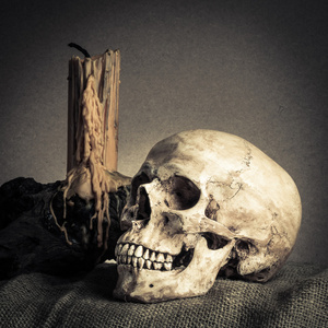 静物头骨照片