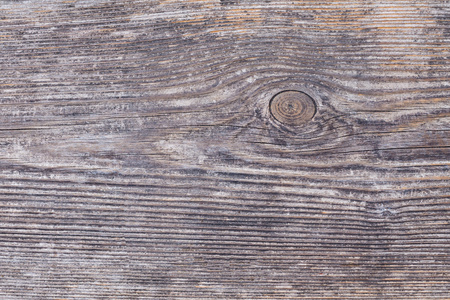 老松树分裂出来的小木板板