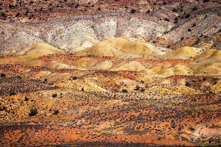 彩绘沙漠橙色草砂岩白砂拱门国家