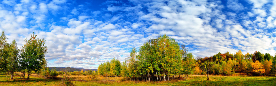 秋季景观与明亮的蓝色天空
