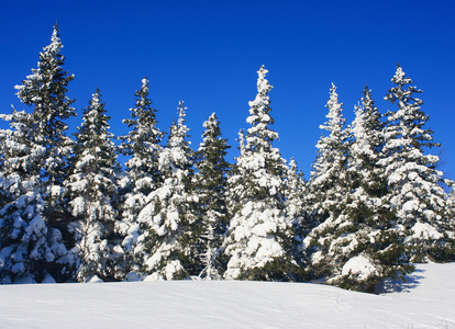 vintern berg. sdra ural, ryggraden i taganay, Ryssland冬山。tag