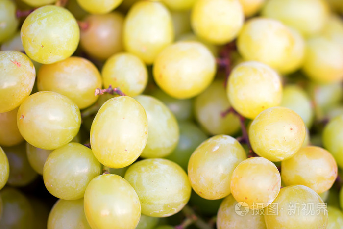 白葡萄