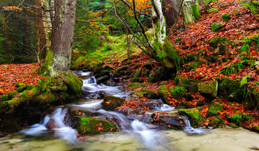 秋季景观 山区河流和树木