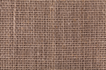 纹理的画布foto框架,剪贴簿风格即时照片在绿色的原野上绣上具有样式