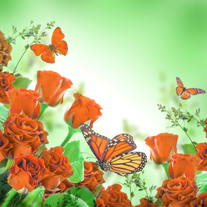 花卉背景和蝴蝶
