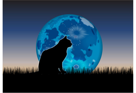 猫咪和月亮