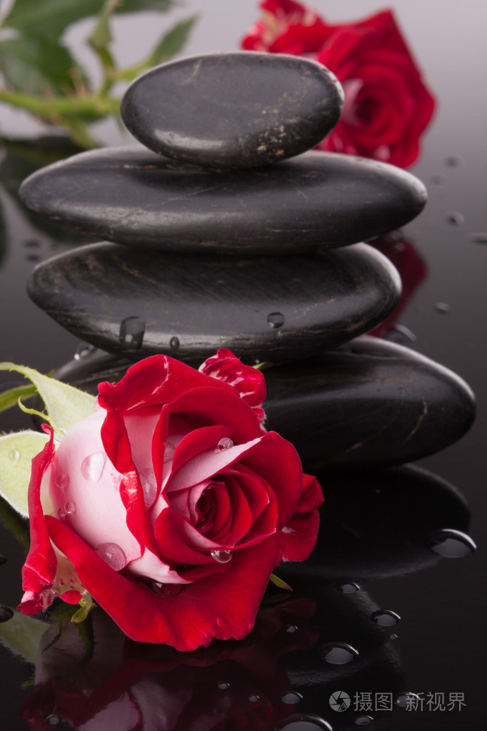 水疗中心的石头和月季花静物.卫生保健的概念