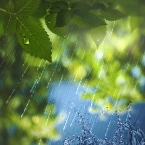 夏季的雨，为你设计的抽象季节性背景