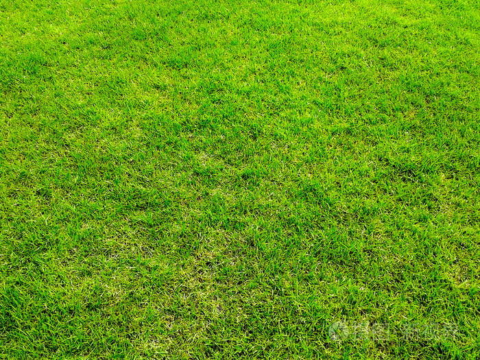 绿草地面