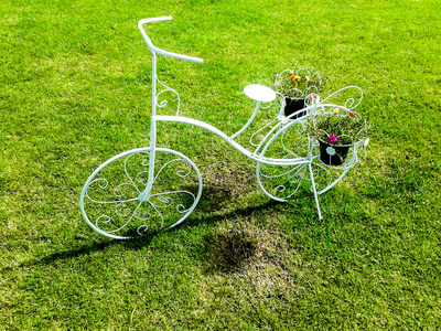 白色自行车站在绿色的草地上