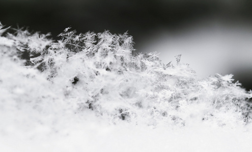 雪花在白雪中