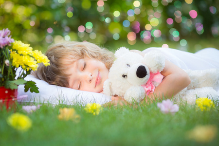 熊在花园里图片