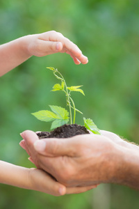 植物在人类手中图片