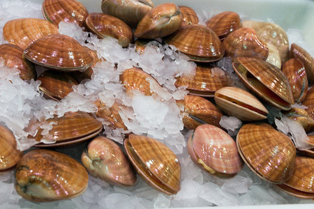 贝壳食物海