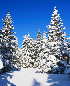 vintern berg. sdra ural, ryggraden i taganay, Ryssland冬山。tag