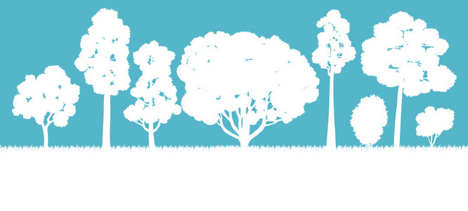 生态概念详细的森林树插图矢量 backgro