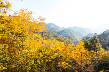 秋天风景